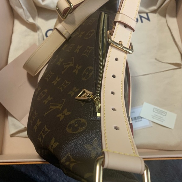 Louis Vuitton Bumbag - Picture 4 of 11